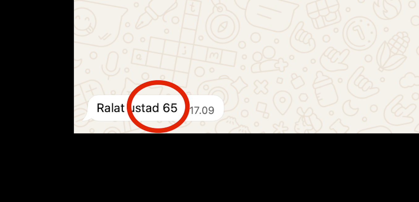 Meta Ads Result Portfolio